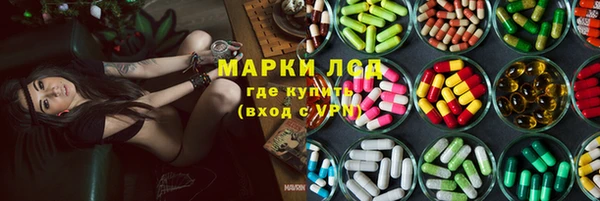 ПСИЛОЦИБИНОВЫЕ ГРИБЫ Алексеевка